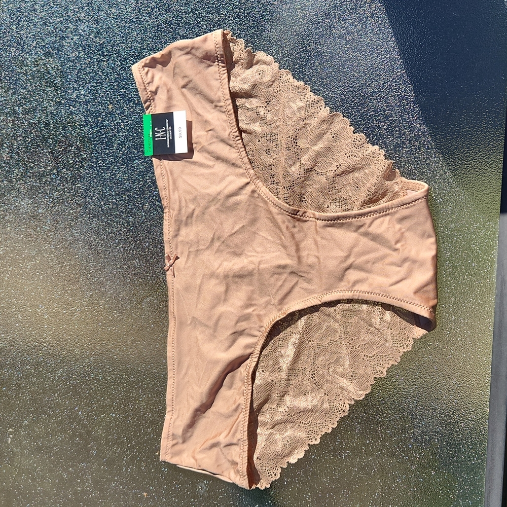 INC ▪︎ Hipster Lace Panties in Taupe Dream, Size Lg,  NWT